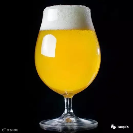 belgian style wit beer