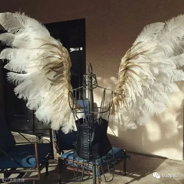 ostrich wings