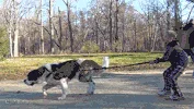 20180704140250.gif