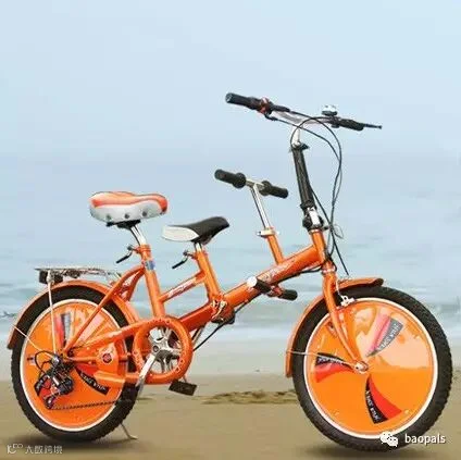 parent and child bike