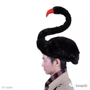 black swan