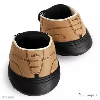 horse boots