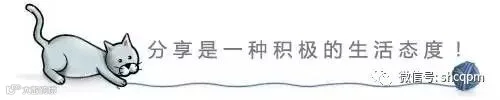 猫抓毛线球引导分享