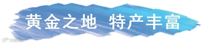 2物.png