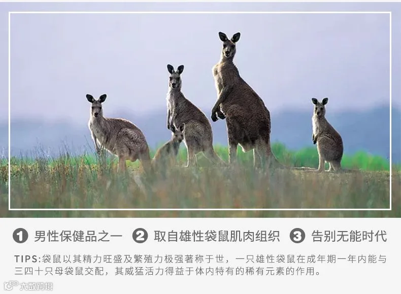 图层 2.png
