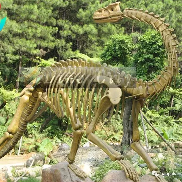 dinosaur skeleton 2