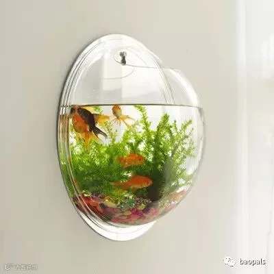 fish tank wall decor