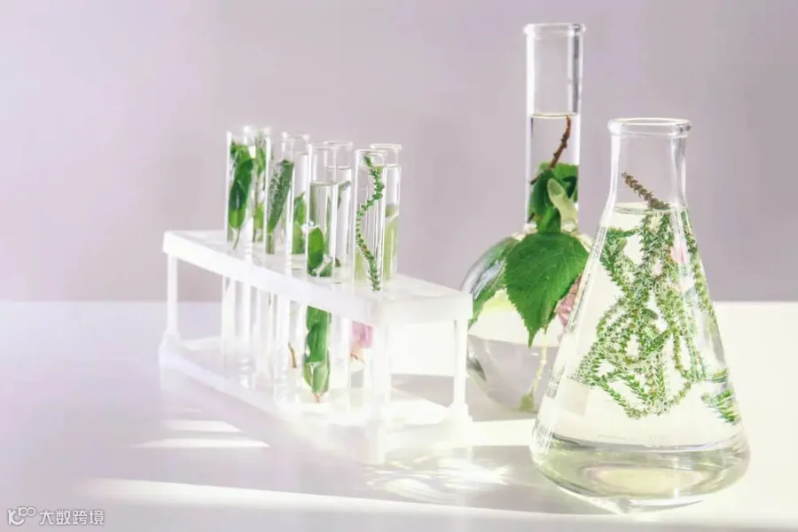 桌子上有植物的玻璃器皿.jpg