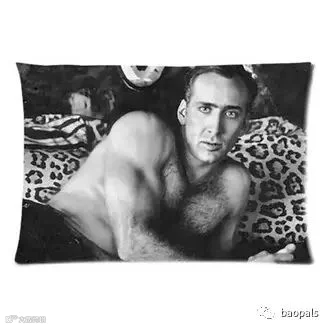 nicholas cage pillow