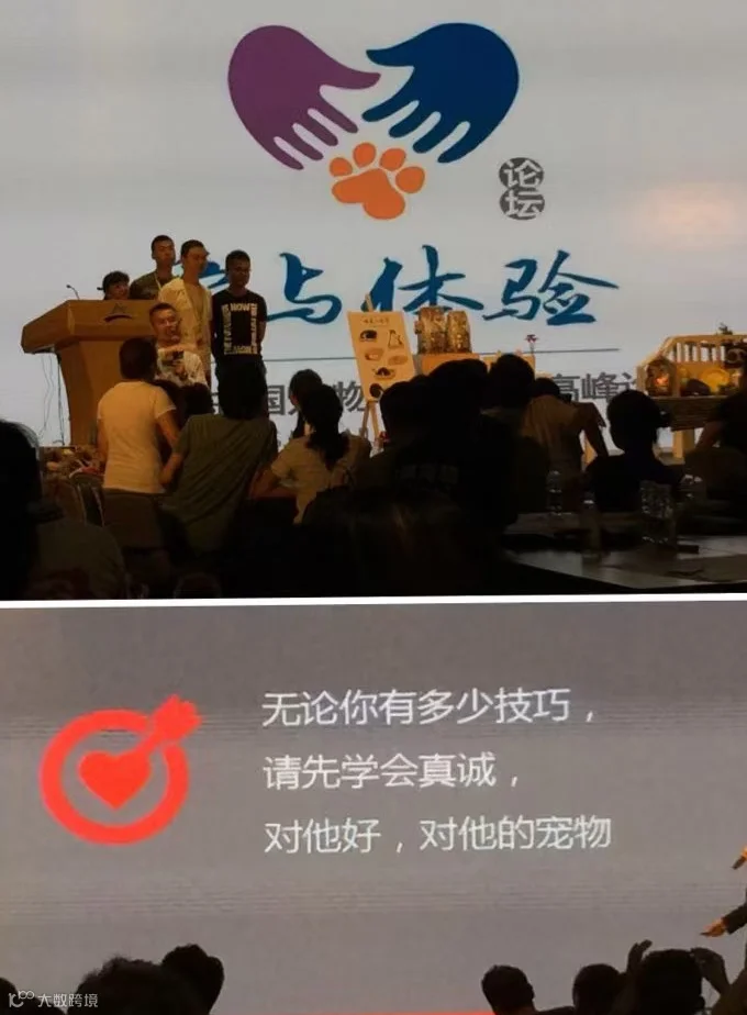 爱与体验.jpg