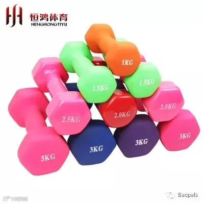 Home Fitness Dumbbell Pair