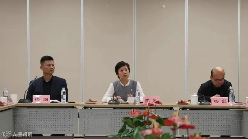 徐枫致辞.JPG