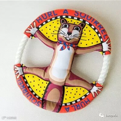 hurl a squirrel dog frisbee