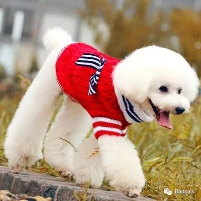 Warm Dog Sweater