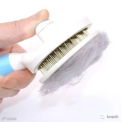Brush with quick release button