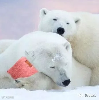 Electric Hot Water Bottle