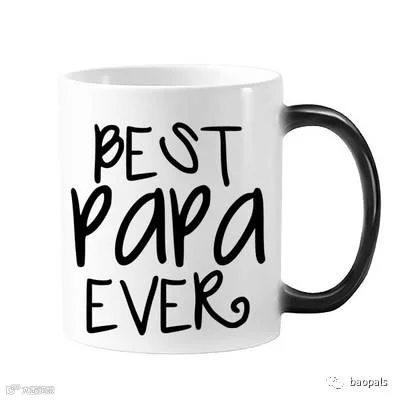 best papa ever mug