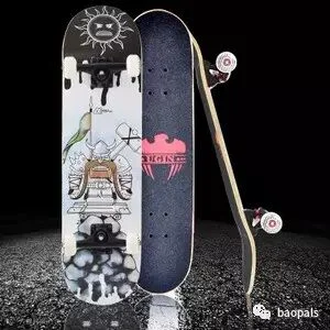 adult skateboard