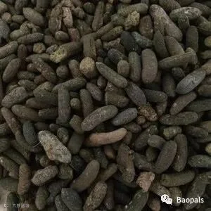 herbal mouse droppings
