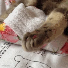 20120930160702_AReXy.thumb.224_0.gif