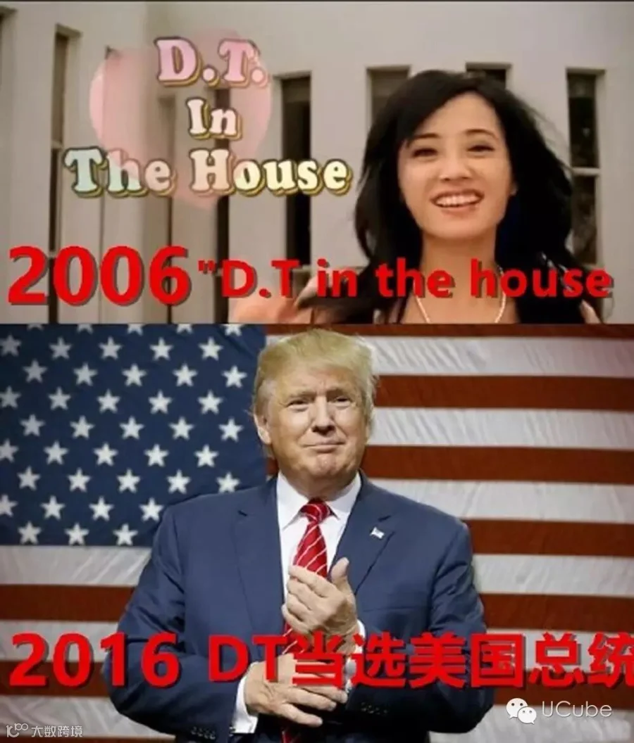 dt in the house 大.jpg