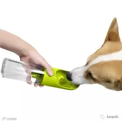pet water bottle