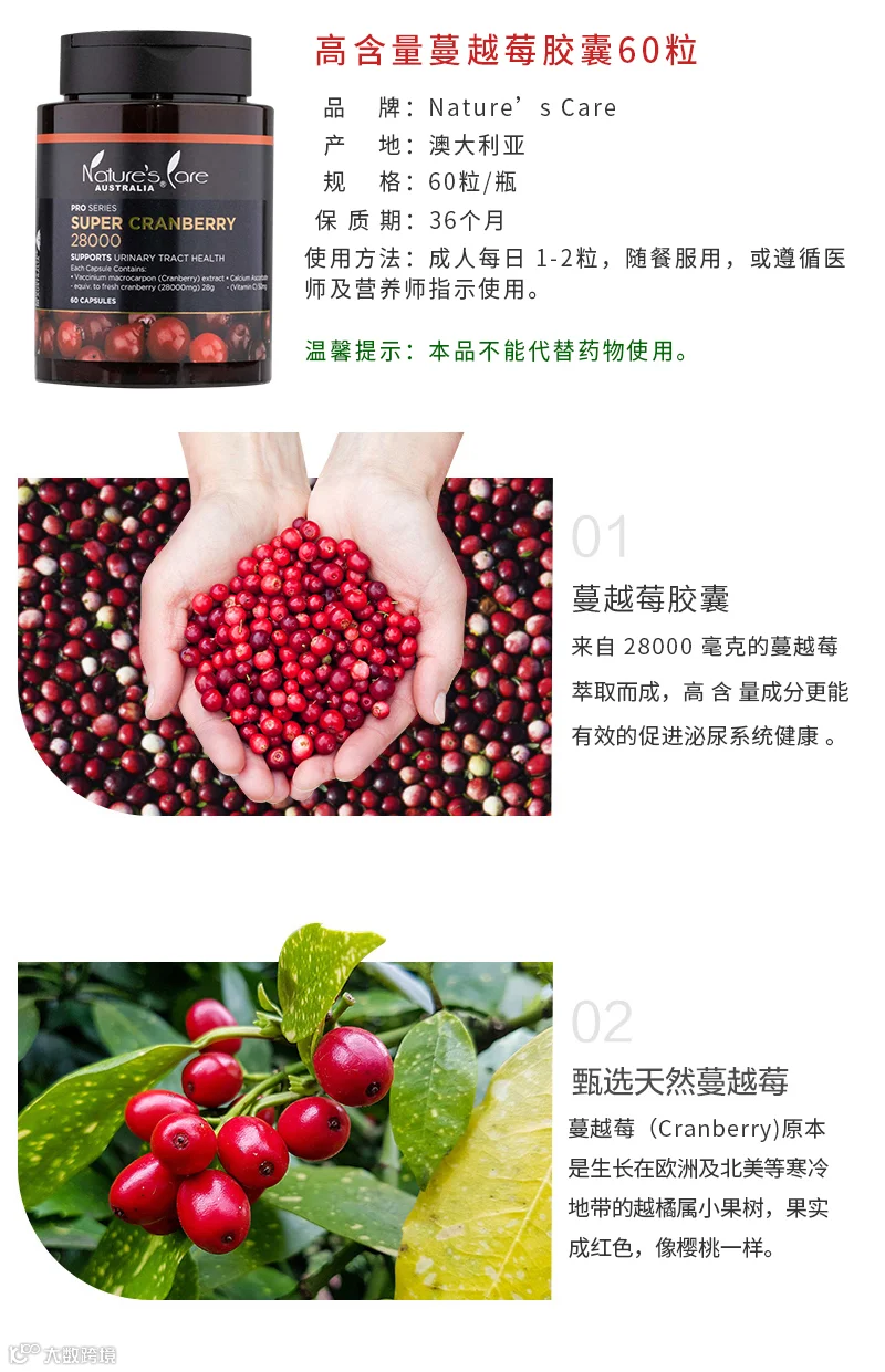 图层 6.png