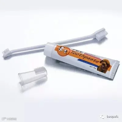 bobo dog toothpaste