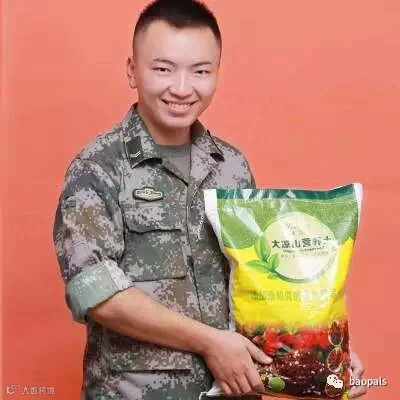 potting soil