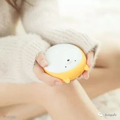 Hand Warming Power Bank