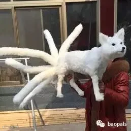 mythical nine tailed fox