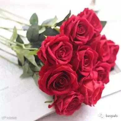 realistic-artificial-roses1