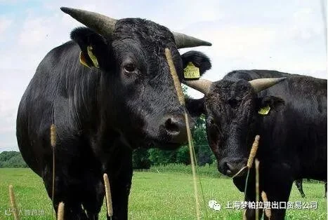 点击查看源网页