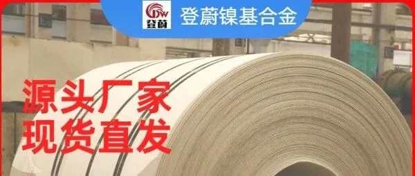 哈氏合金 B3｜盐酸 / 氢氟酸工况｜登蔚特种钢
