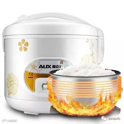 mini rice cooker