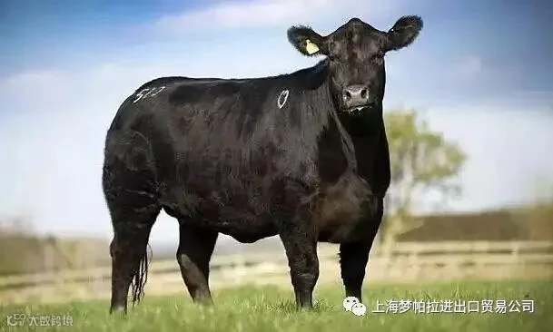 点击查看源网页