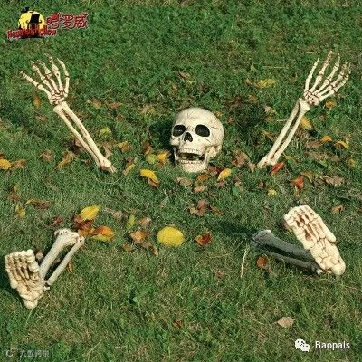 buried alive skeleton