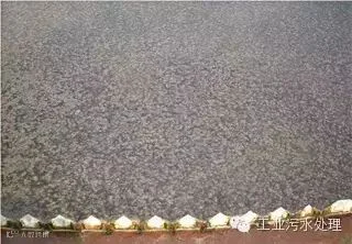 1449673187653026607.jpg