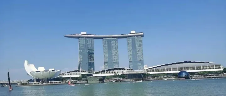 46岁科技副总获批新加坡EP：学历+紧缺职业双加分，事业出海一步通关【成功案例】