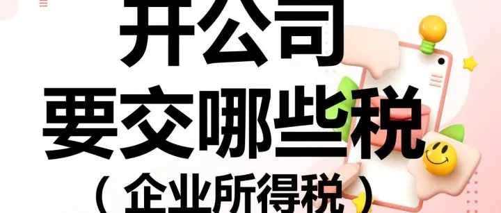 第二篇（企业所得税），开公司要交哪些税？
