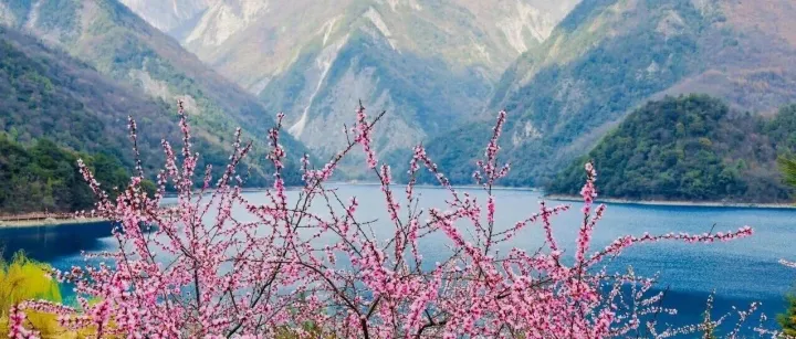 【清明 | 隐秀<em>陇南</em>3日】我本无意入<em>陇南</em>，奈何<em>陇南</em>入我心！兰州起止