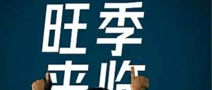 下半年旺季来临前，独立站卖家如何提前布局承接流量飙升带来的订单？