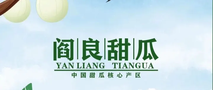 大箱的阎良甜瓜也来啦！