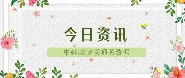 5月28日快讯：中越友谊关通关资讯