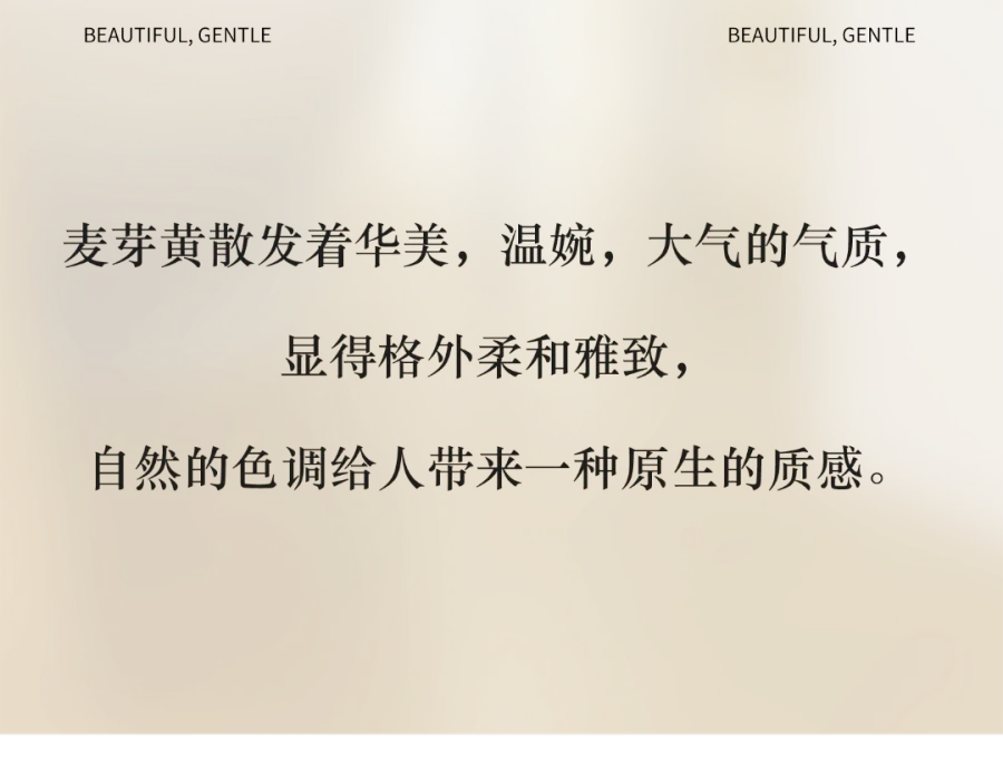 款2_02.png