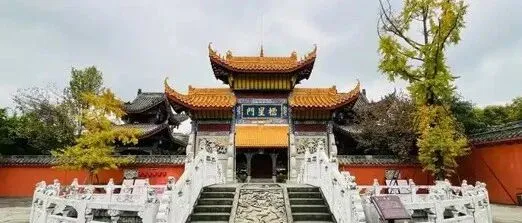 南充打造川北教育同城高地，蓬安暂时遇冷，顺庆迎来爆发式增长！