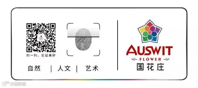 1531384034277232.jpg