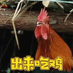 出来吃鸡