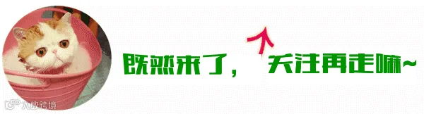 引导关注动图