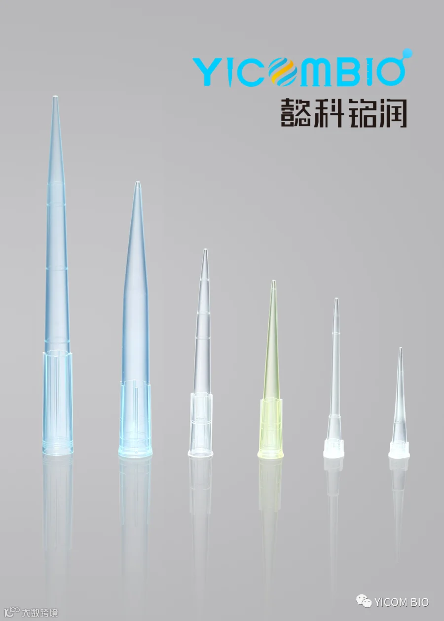 2N1A68821_副本2.png